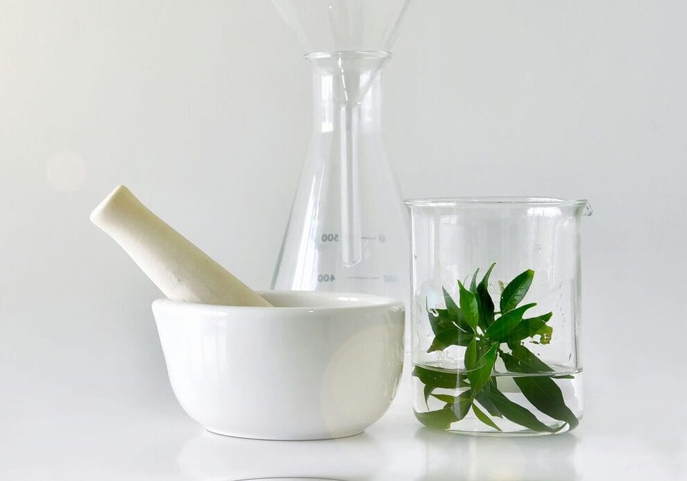 Mortar and pestle beside laboratory beakers holding green botanicals